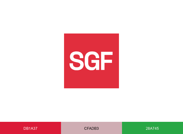 Steinger brand color palette