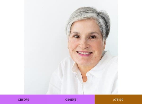 Diane Henkler brand color palette