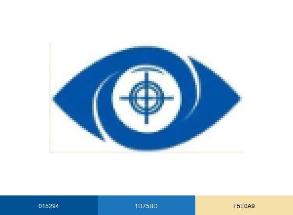 Insight Security UK brand color palette