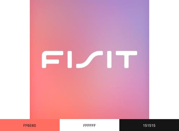 Instituto Fisit brand color palette