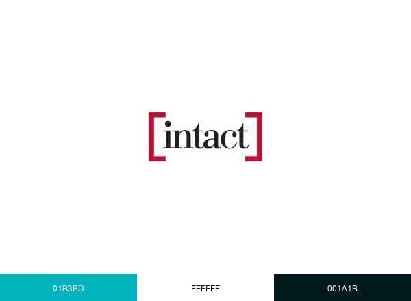Intact Insurance brand color palette