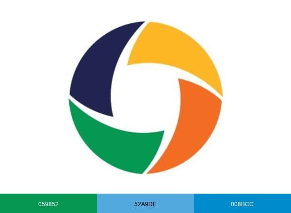 International Citizens Insurance brand color palette