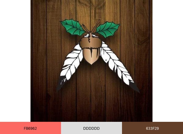 Jackson Rancheria brand color palette