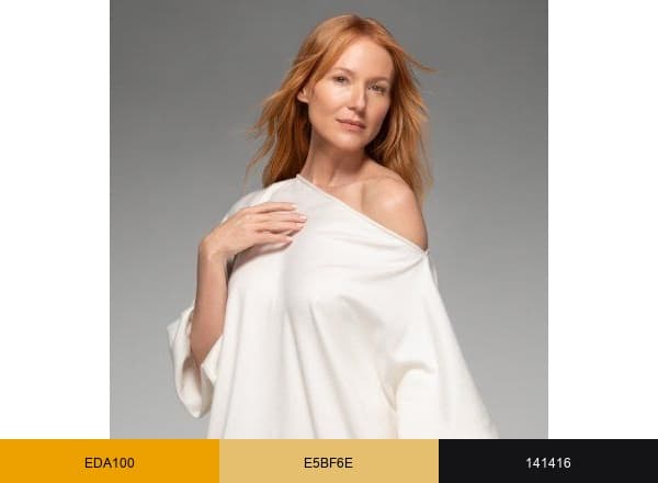 Jewel brand color palette