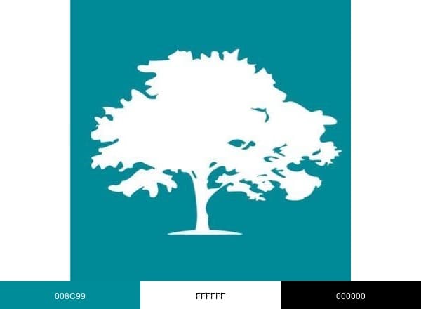 JM Family brand color palette