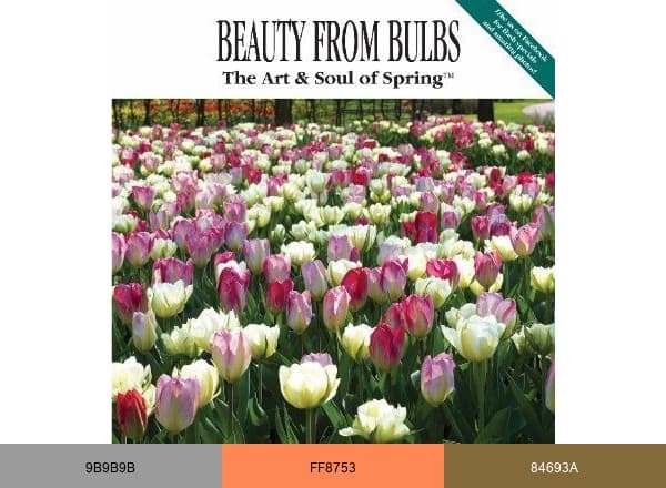 John Scheepers Beauty From Bulbs brand color palette