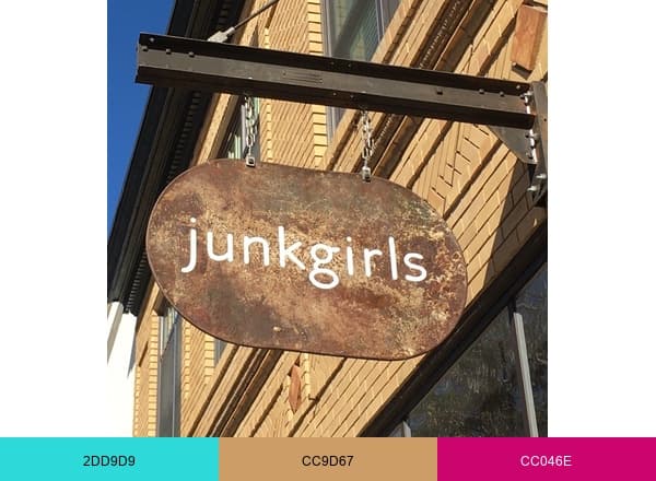 Junk Girls brand color palette