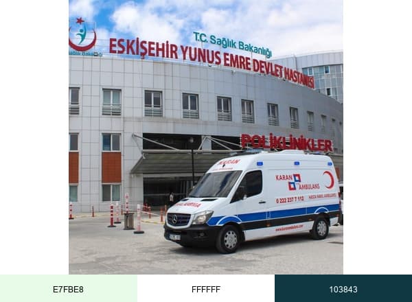 Karan Ambulans brand color palette