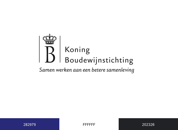 King Baudouin Foundation brand color palette
