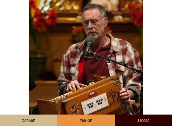 Krishna Das brand color palette