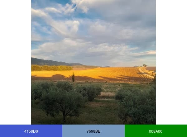 DOMAINE DE LA BLACHE brand color palette