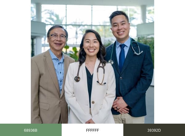 Lam Clinic brand color palette