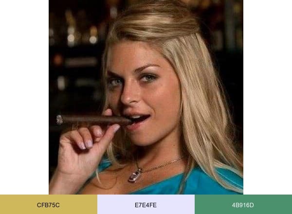 Arielle brand color palette