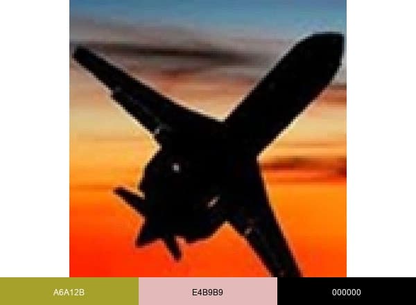 LATESTPILOTJOBS brand color palette