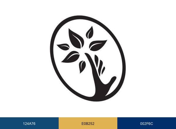Legacy Touch brand color palette
