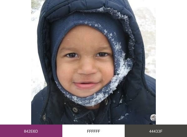 LifeWays Milwaukee brand color palette