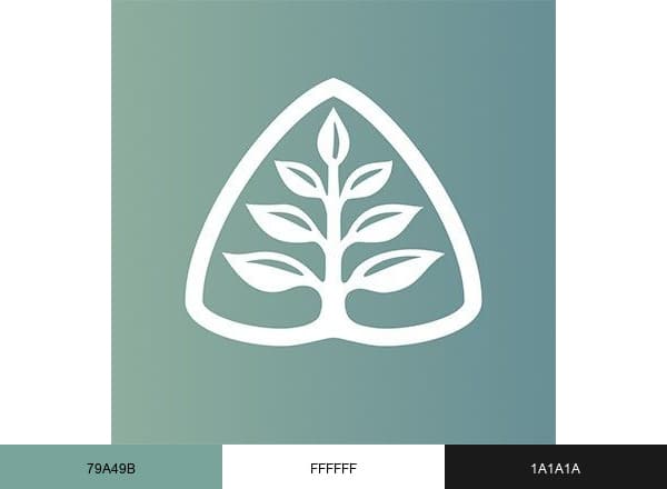Ligonier Ministries brand color palette