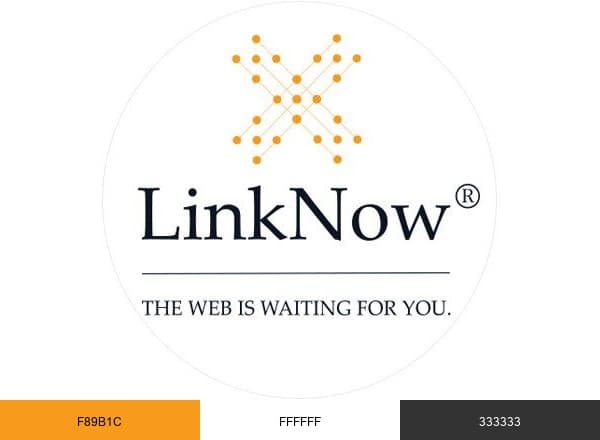 LinkNow brand color palette