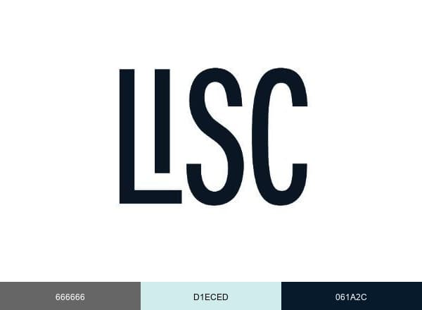 Local Initiatives Support Corporation brand color palette