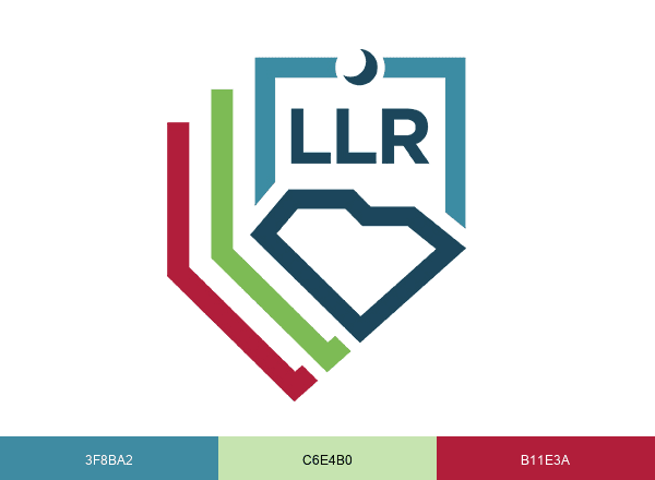 SCDLLR brand color palette