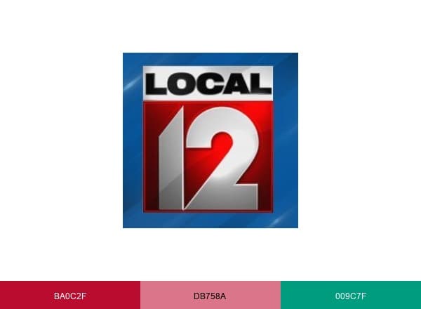Local 12 brand color palette