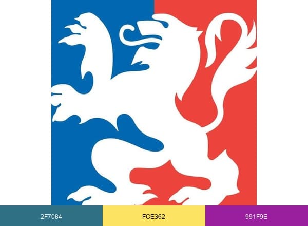 Ville de Lyon brand color palette