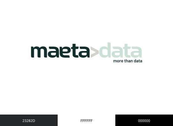 MaetaData brand color palette