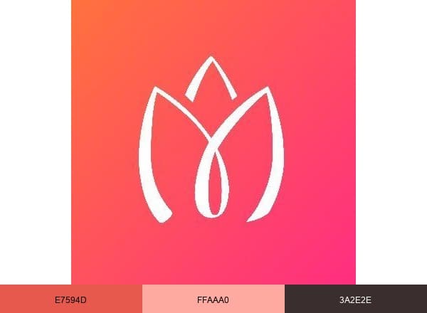 Maitreja brand color palette