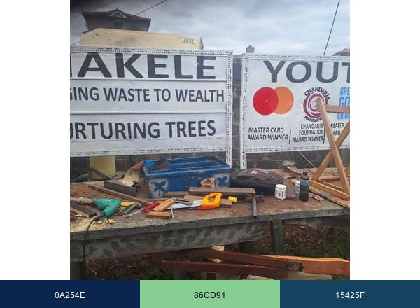 Makele Youth Drive brand color palette