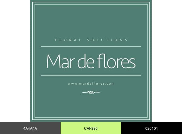 Mar de Flores brand color palette