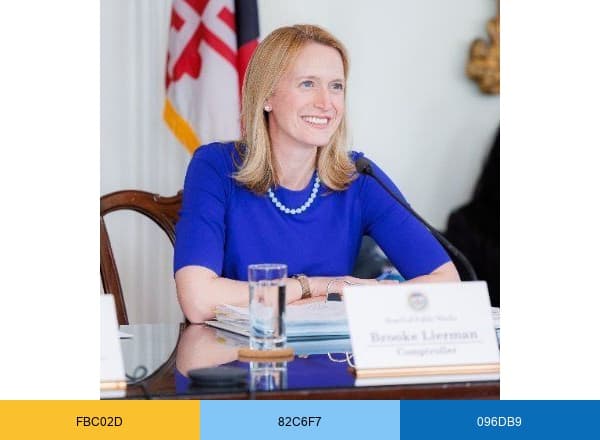 Comptroller of Maryland Brooke Lierman brand color palette
