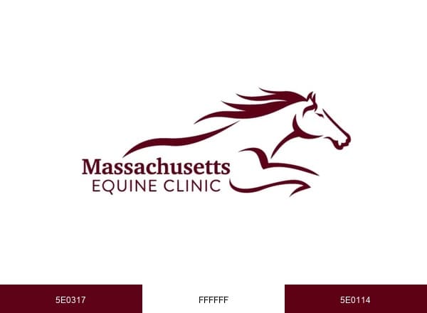 Massachusetts Equine Clinic brand color palette