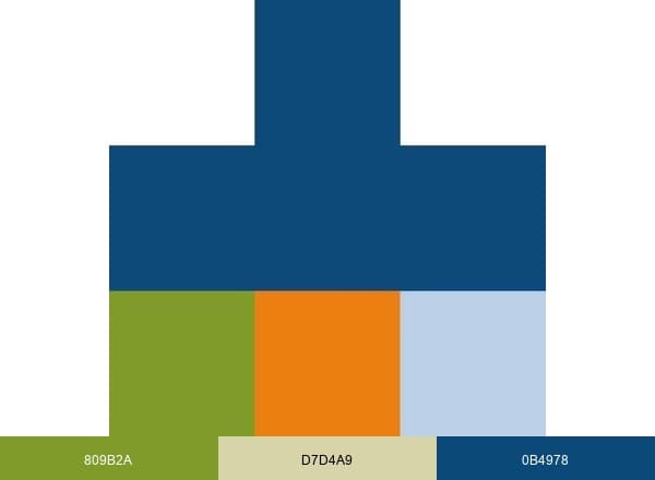 Medpets brand color palette