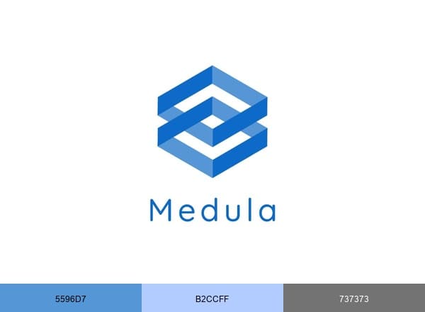 Medula LLC brand color palette