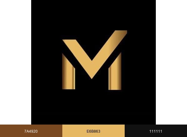 Meetworth brand color palette