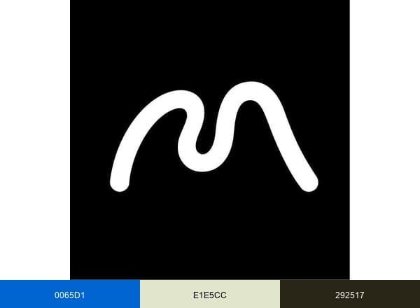 Mellon Foundation brand color palette