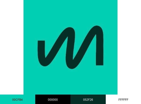 Meridiam brand color palette