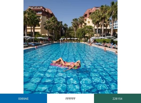 Meryan Hotel brand color palette