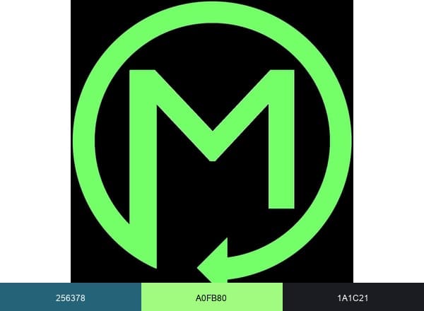 Metropolis Passenger Logistics brand color palette