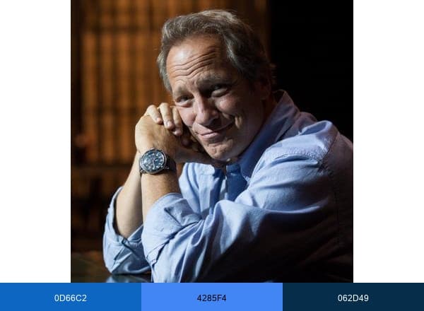 The Real Mike Rowe brand color palette