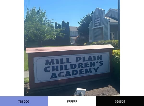 Mill Plain Children's Academy brand color palette