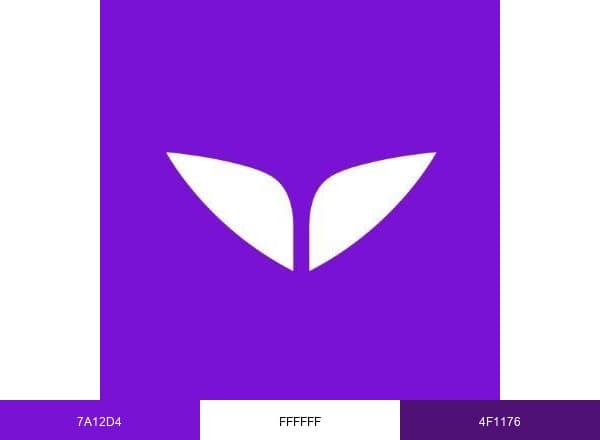 Mindvalley brand color palette