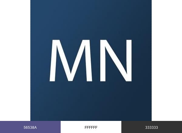 Mn Registered Agent brand color palette