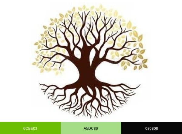 Mir Doğa Ürünleri brand color palette