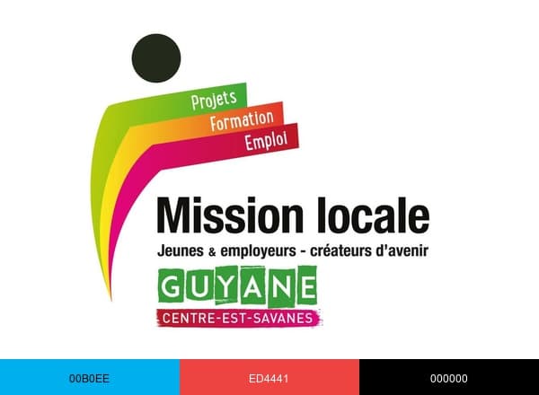 Mission Locale Centre-Est Savanes brand color palette