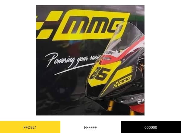 MMGRacingStore brand color palette