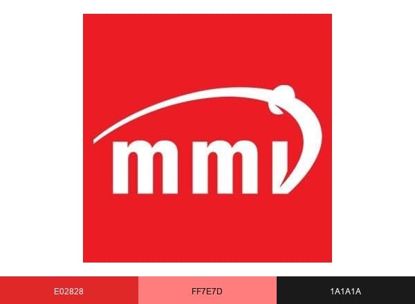 MMI Home Delivery brand color palette