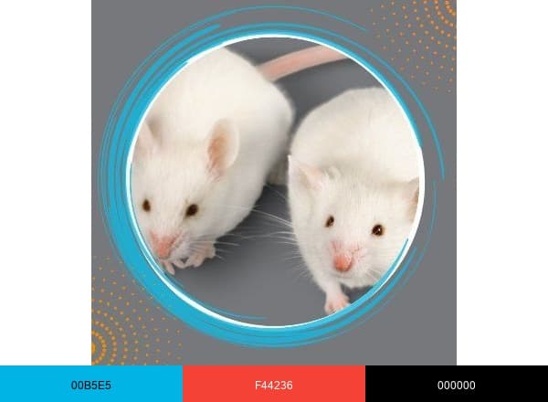 Mutant Mouse Resource & Research Centers MMRRC brand color palette