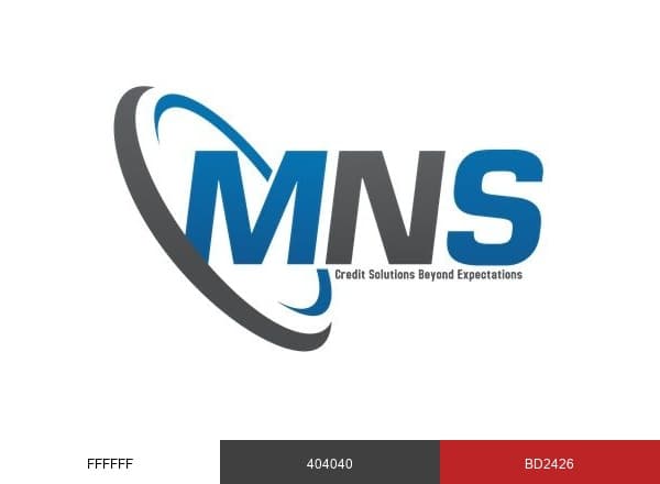 MNS CREDIT MANAGEMENT GROUP brand color palette