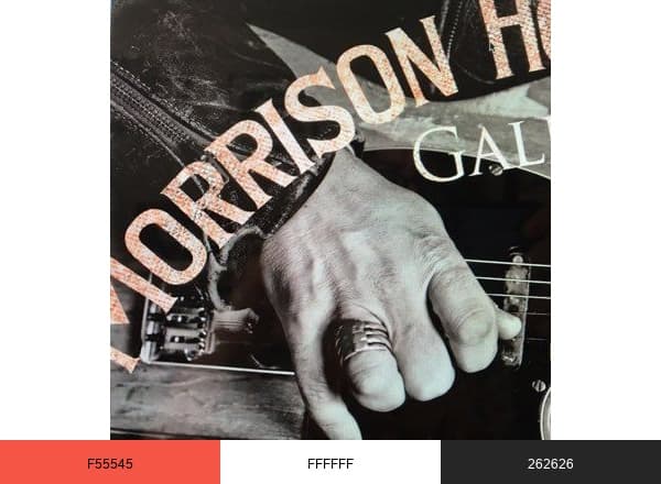 Morrison Hotel Gallery brand color palette